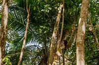 Travel photography