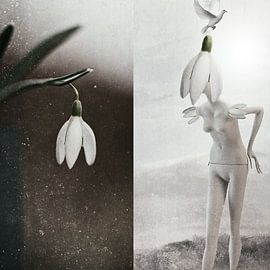 Mannequin met de sneeuwklokjes van moonieq