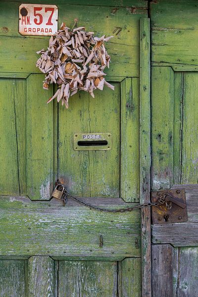 Porte en bois vert par Sander Groenendijk