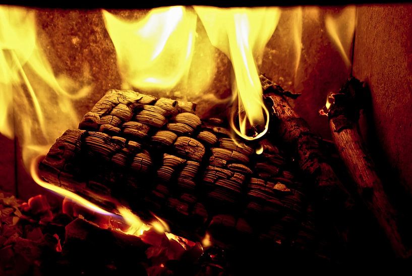 Firewood by Norbert Sülzner