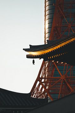 Toren van Tokio bij zonsondergang IV van Endre Lommatzsch