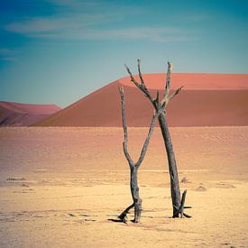 Versteende bomen in de Deadvlei in Namibie van Jille Zuidema