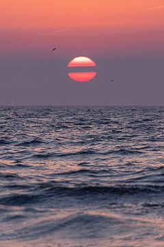 Two halves of sun by Yanuschka | Fotografie Noordwijk