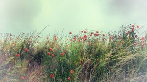 Schwanken im Wind