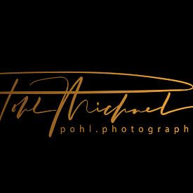 Michael Pohl Profilfoto