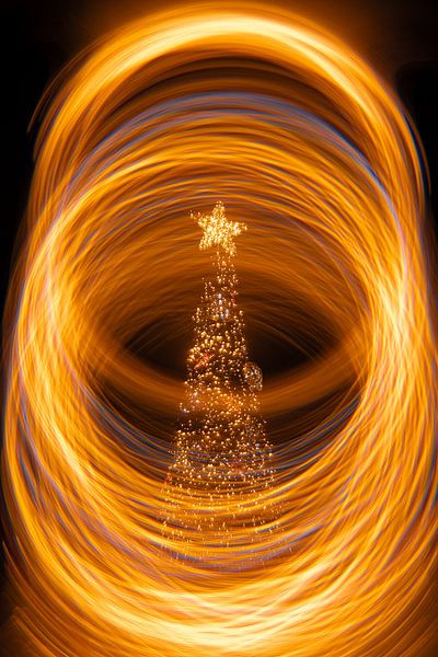 Christmas tree, Noordwijk by Yanuschka | Fotografie Noordwijk