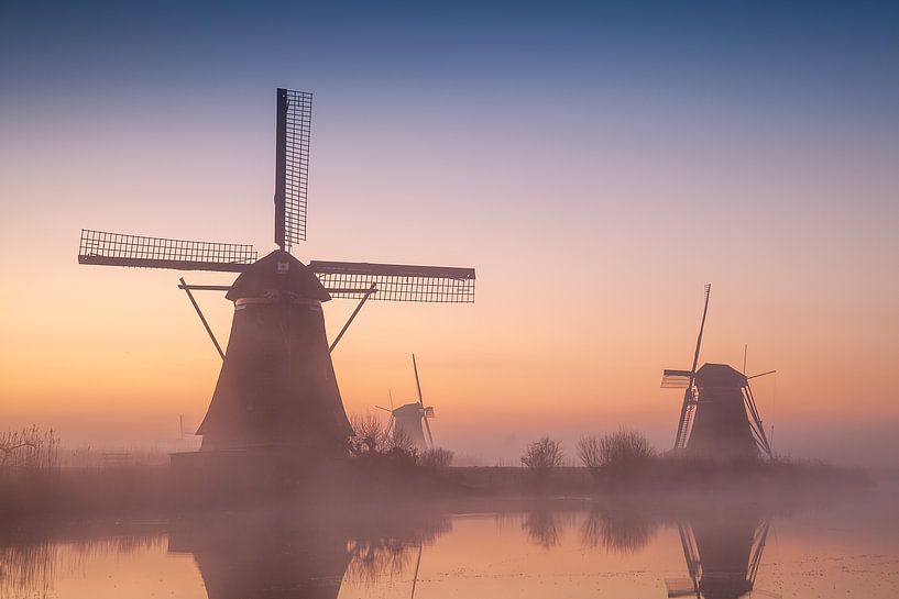 Orange glow by Halma Fotografie