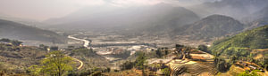 Sapa