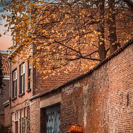 Autumn Silence in the Streets of Delft by Mehmet Özkara