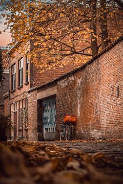 Autumn Silence in the Streets of Delft