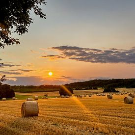 Straw bales in late summer by Dirk Rüter
