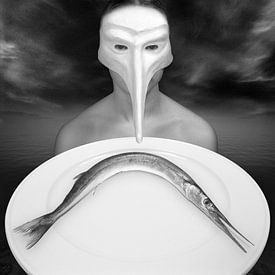 Geep by Hans van der Pol (triadesign.net)