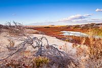 Landschaftsaufnahme Salzwüste