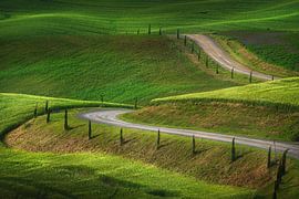 Route à la campagne. La Toscane