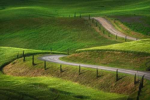 Weg op het platteland. Toscane
