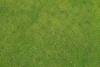 Aerated grass golf lawn