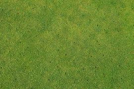 Aerated grass golf lawn by Jarretera Photos