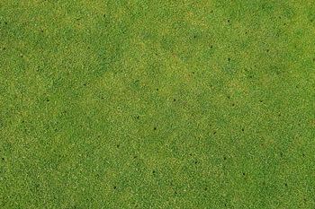 Golf green