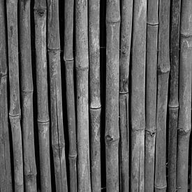 Bamboo in black and white von Anne van de Beek