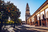 Cordoba – Mezquita / Patio de los Naranjos