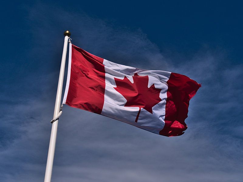 Maple Leaf von Timon Schneider