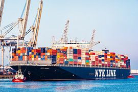 Cargo container ship at a container terminal in Rotterdam port by Sjoerd van der Wal Photography