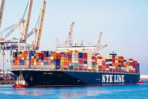Container schip bij een containerterminal in de Rotterdamse haven