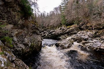 Findhorn rivier in prachtig naaldbos, Schotland van John Ozguc