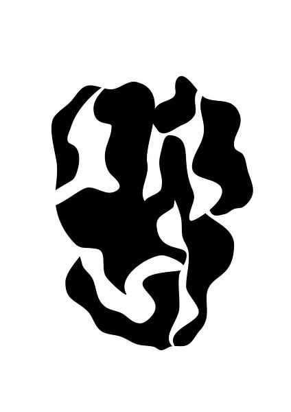 Abstrakte Form in Schwarz und Weiß von Studio Miloa