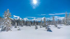 Filzmoos, Österreich von Jordy Kortekaas