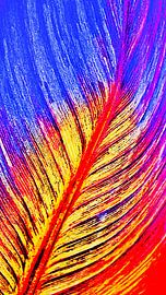 ein Canna Lilienblatt mixed media von Werner Lehmann