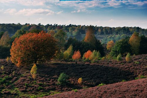 La Posbank en automne