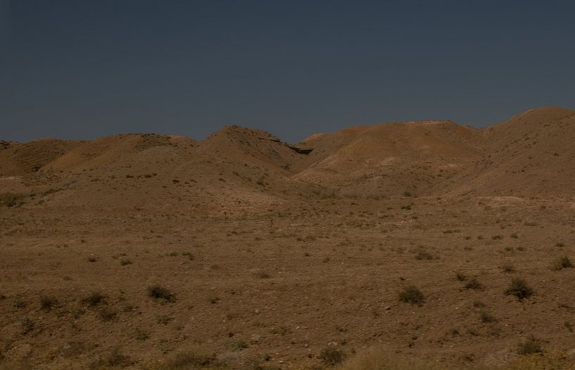 SaveH van Maarten Verhees