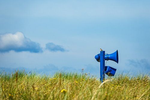 Baltic Sea coast in Graal Mueritz