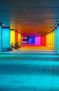 Nederlands Architectuurinstituut, Rotterdam
