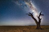 Namibia-Galaxie von Peter Poppe Miniaturansicht