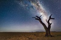 Namibia Galaxy