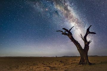 Namibia-Galaxie von Peter Poppe