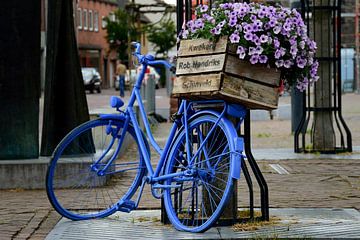 De blauwe fiets van Frank's Awesome Travels