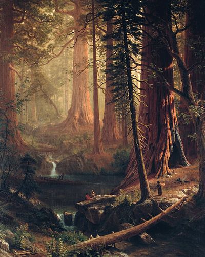 Albert Bierstadt. Gigantische Redwood bomen in Californië
