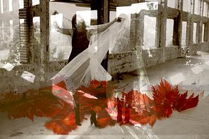 Dance of Imagination
