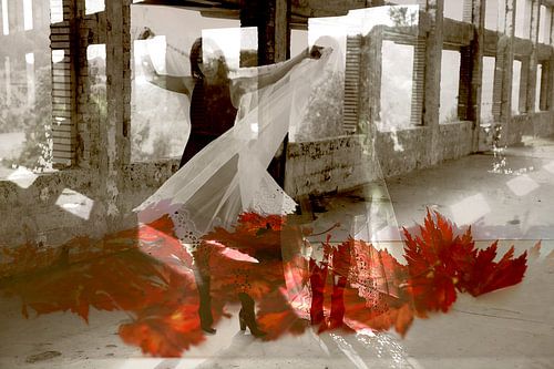 Dance of Imagination