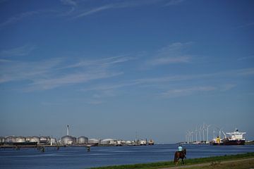 The port of Rotterdam