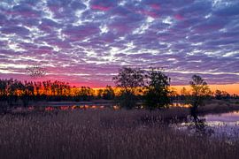 Lever de soleil à l'est