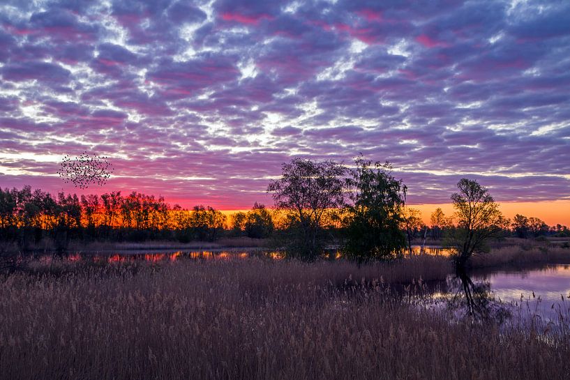 Sunrise in the east by Heiko Lehmann