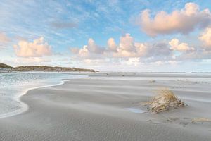 Kracht van Anja Brouwer Fotografie