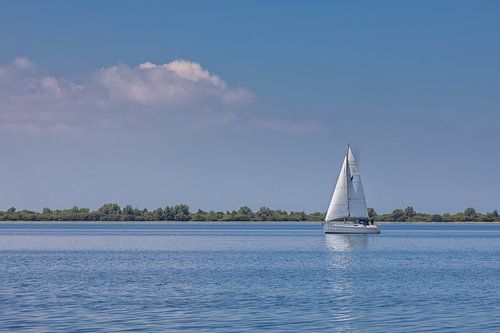 Zeilen op een zonnige dag