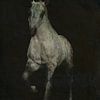 paard dat uit de duisternis komt van Jan Keteleer (JanKé): Een reis voorbij het canvas