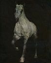 paard dat uit de duisternis komt van Jan Keteleer thumbnail