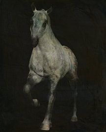 horse coming out of darkness